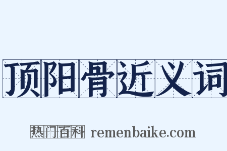 顶阳骨近义词是什么意思的图片